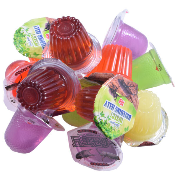 곤충 먹이젤리(30개) 장수 사슴