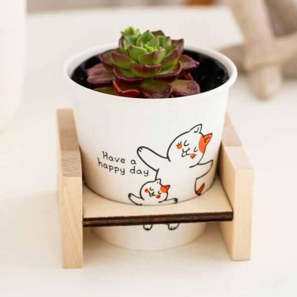 우든웨어초록업사이클링-종이컵활용