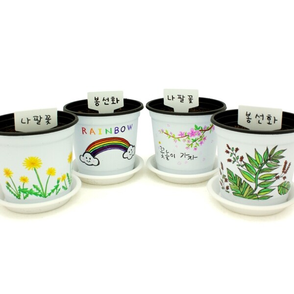 봄맞이 그리기 씨앗심기(4개세트)