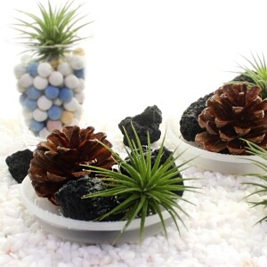 이오난사 천연 가습기 만들기(4개세트)