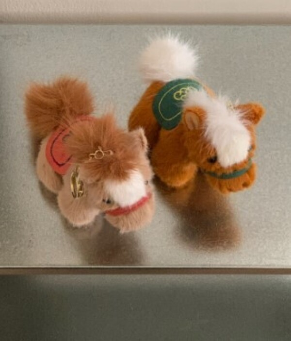 붉은 말키링 새해 신년 병오년 말띠해 출산선물 선물포장 3컬러