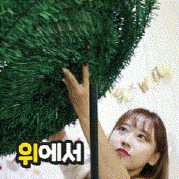 키즈보나,상품명