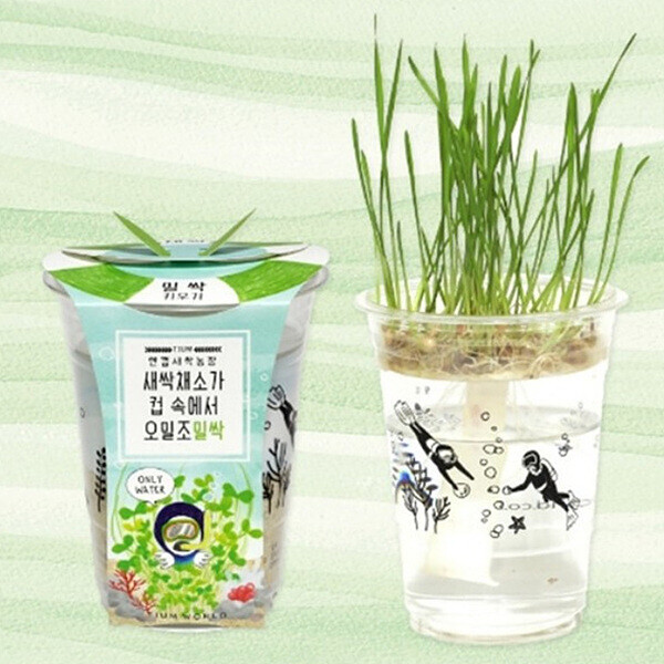 키즈보나,상품명