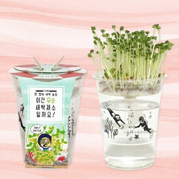 키즈보나,상품명