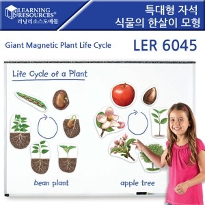 러닝리소스 자석 식물 모형(LER 6045)(한정수량)