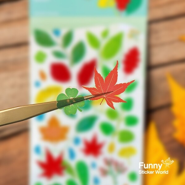 키즈보나,상품명