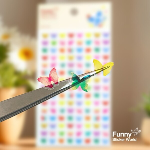 키즈보나,상품명