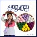 썸네일(스크롤)